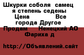 Шкурки соболя (самец) 1-я степень седены › Цена ­ 12 000 - Все города Другое » Продам   . Ненецкий АО,Фариха д.